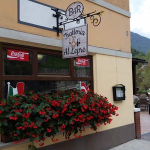 Foto 2 di Trattoria Al Lepre - Tarvisio