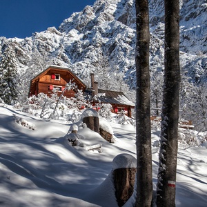 Foto 2 di Rifugio Luigi Zacchi - Tarvisio