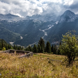 Foto 3 di Giro delle malghe del Montasio - Chiusaforte