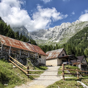 foto di Rundwanderung zu den Almen des Montasio - Chiusaforte