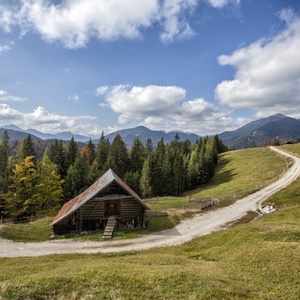 foto di Puanina Tour - Alpe di Ugovizza