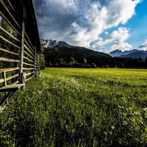 foto di Kozolec - Harpfe - Arpe