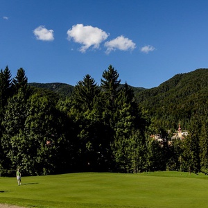 foto di Der wald von Tarvis